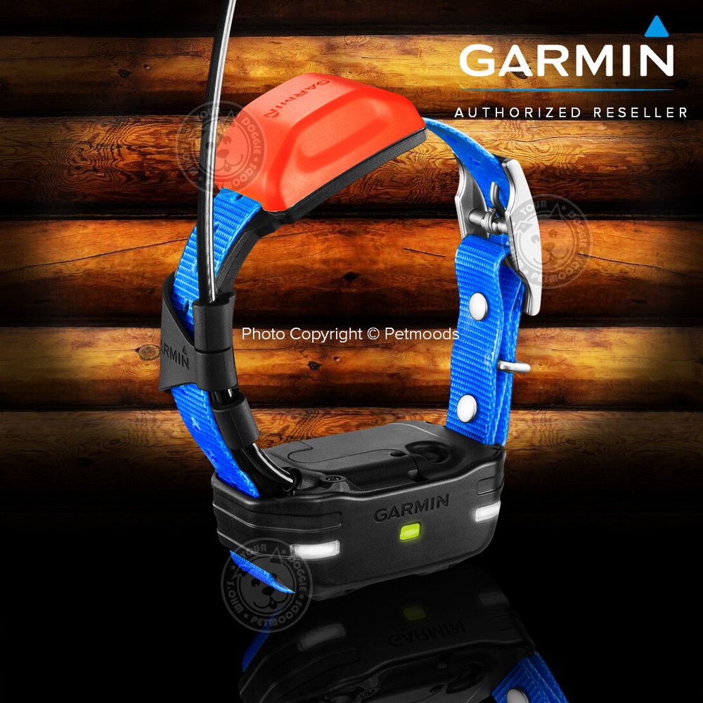 Garmin T5 Mini GPS Tracking ONLY Collar - No Training