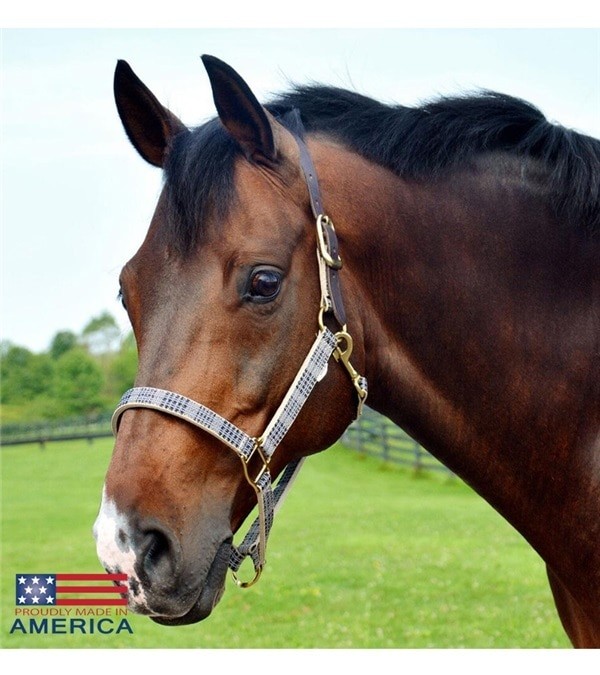 5/A Baker Breakaway Nylon Halter with Leather Crownpiece