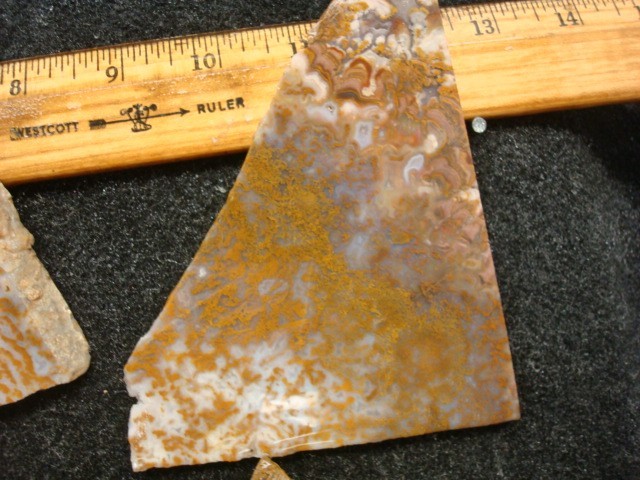 riveria plume slabs