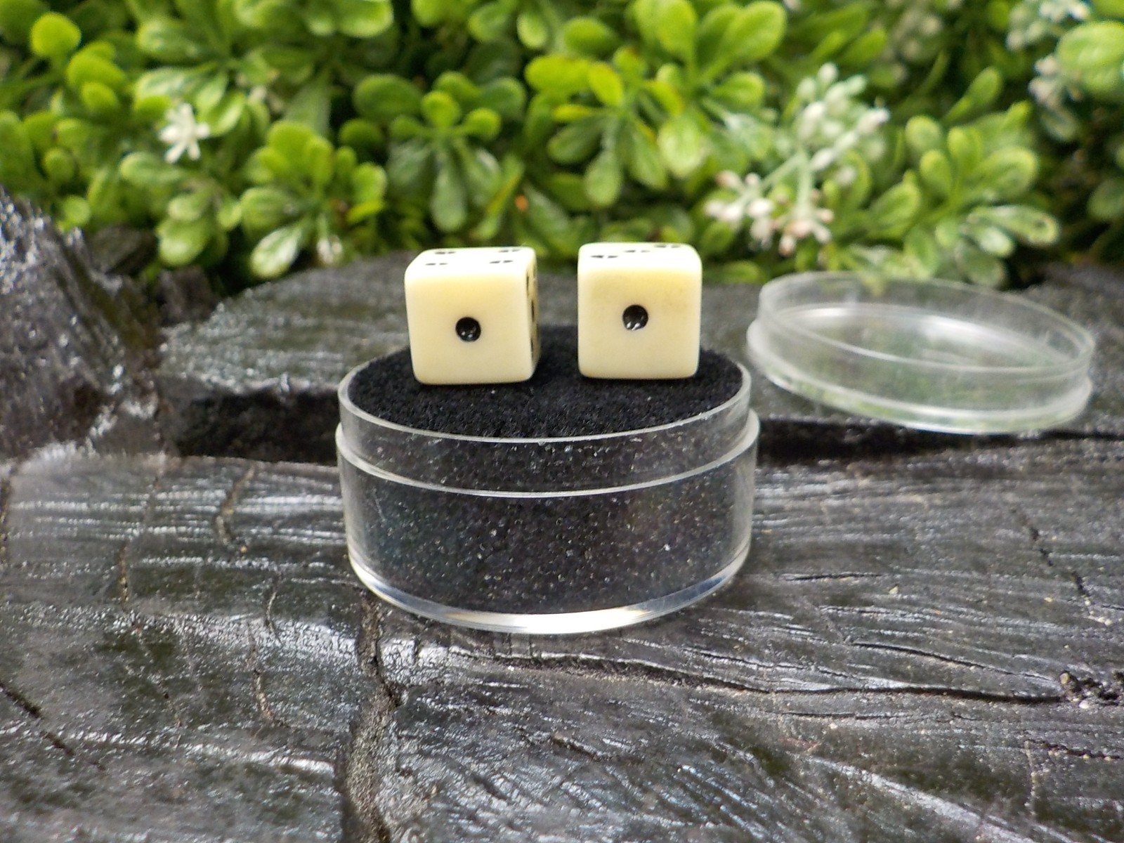 Old Rare Vintage Antique Civil War Relic Bone Dice Extremely Rare with Free Case