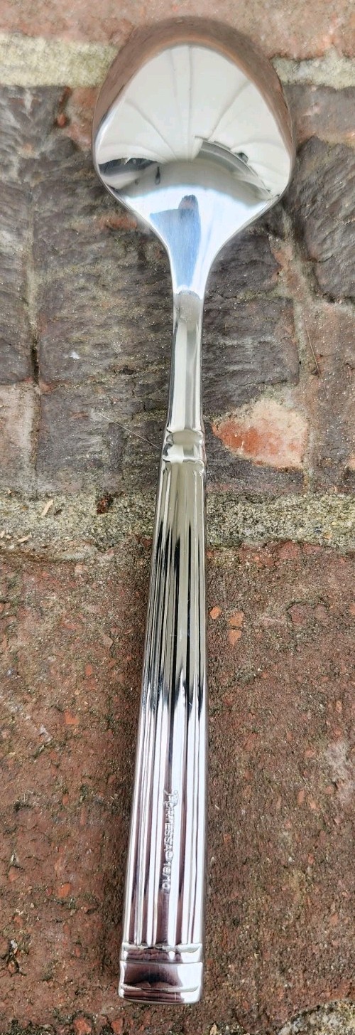 12 Pc Fortessa Doria 6" 18/10 Stainless Steel Extra Heavy Weight Teaspoon, NEW!!