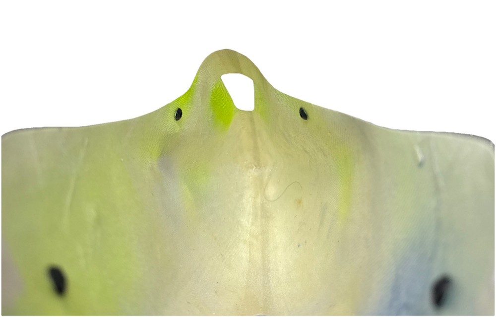 Royal Align Trex 500X Painted Canopy