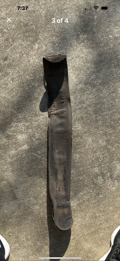 Professional Choice Cinch Sz 32