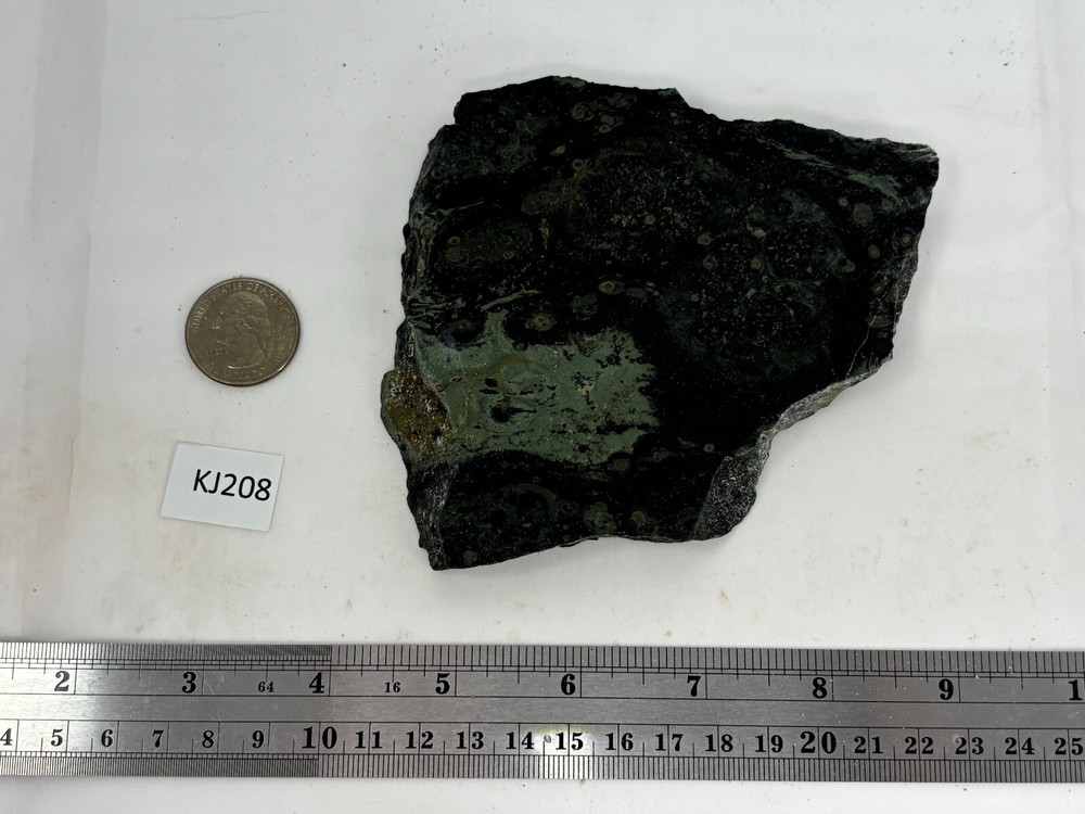 Kambaba Jasper Stromatolite Slab Lapidary Cabbing Combo Ship Avail