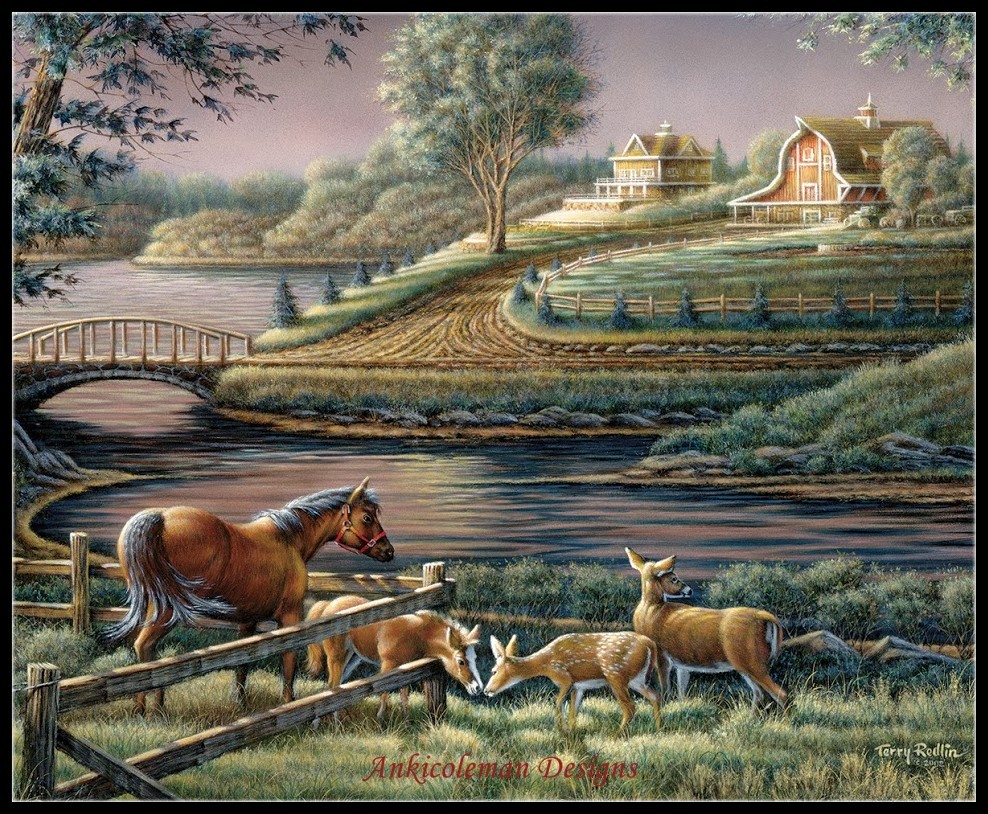 Chart Needlework Crafts DIY - Counted Cross Stitch Patterns - Natural Curiosity