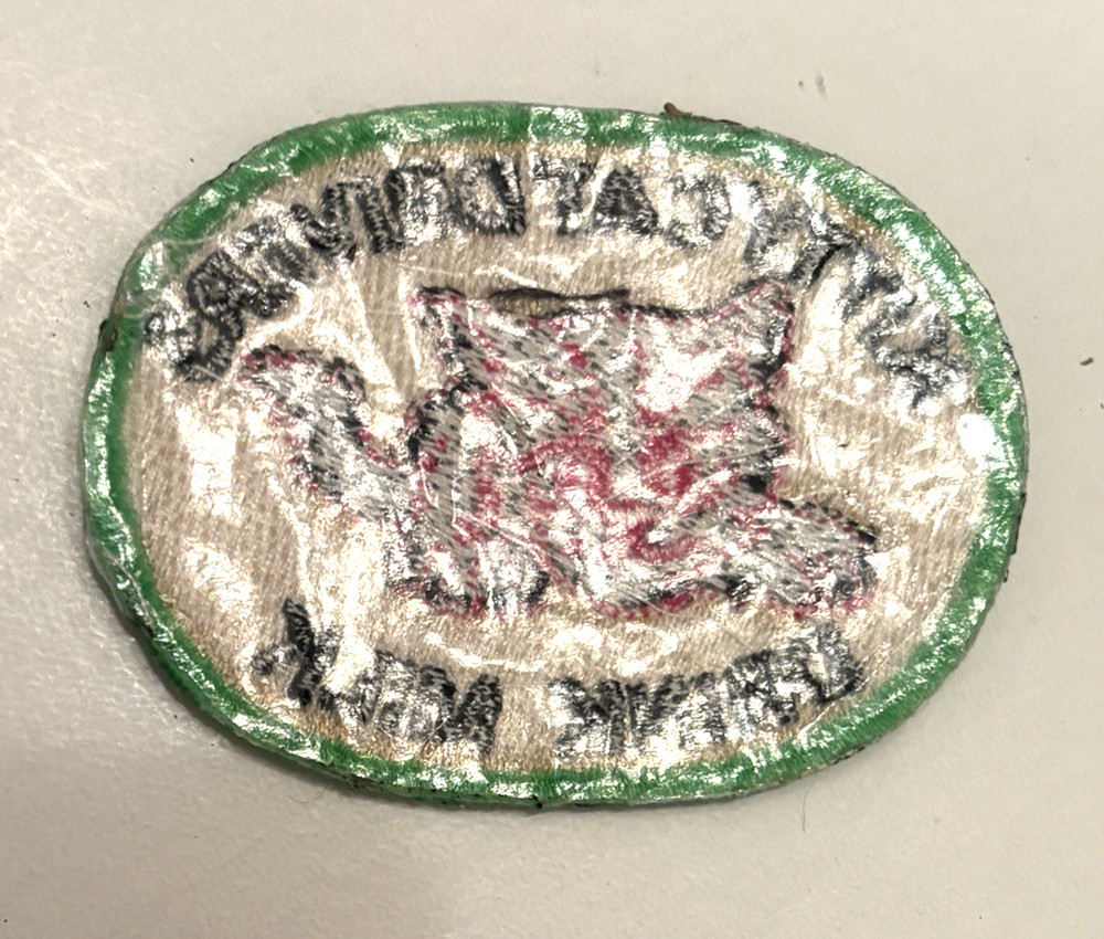 KITTY CAT DRIVERS DRINK MILK PATCH - SKI SNOWMOBILE - RETRO