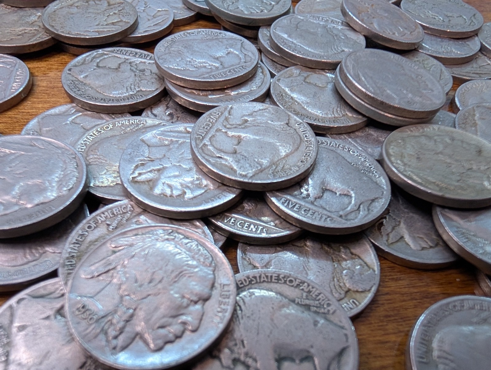 100 Buffalo Nickels - WITH DATES - Common US Nickel Coins