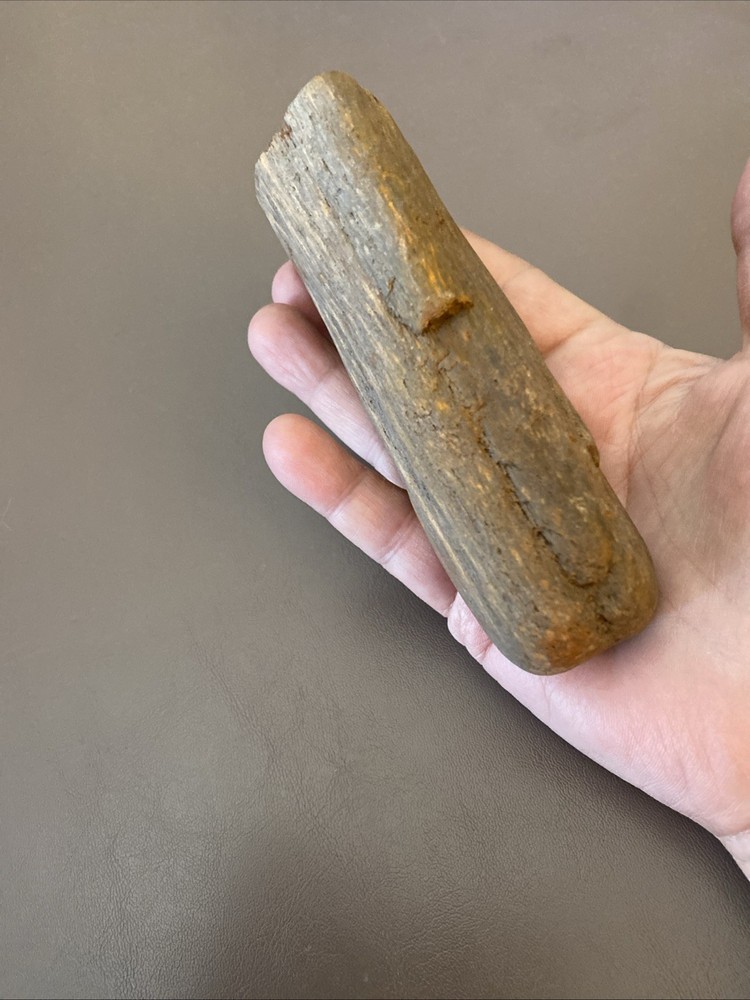 Petrified Wood