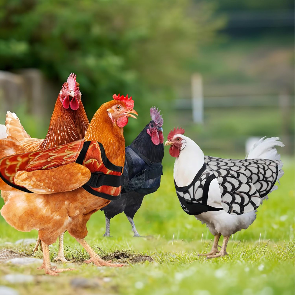 3-Pack Chicken Saddle for Hens, Adjustable Hen Saddle Back Protector Jacket for