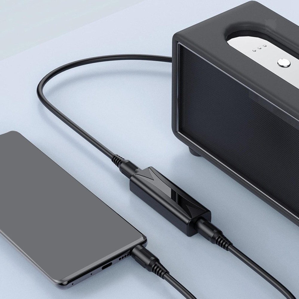 AUX Audio Noise Filter Multiuse Interconnect Cable