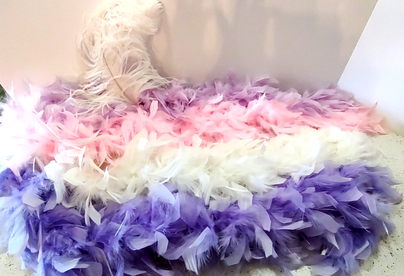 Lot of 4- 6 ft Feather Boas, Feather Bracelet and 14" Ostrich Feather