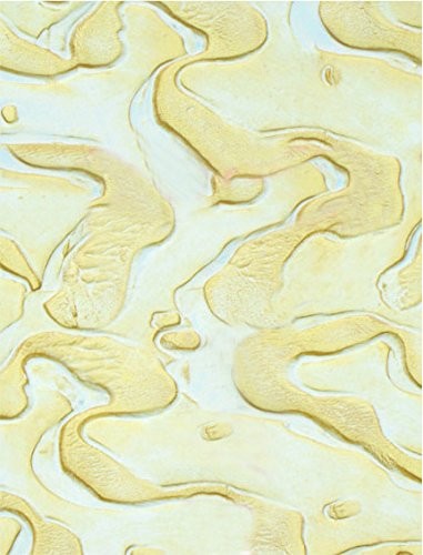 Tool 13-450 Ocean Floor Stucco Texture Roller, 7"