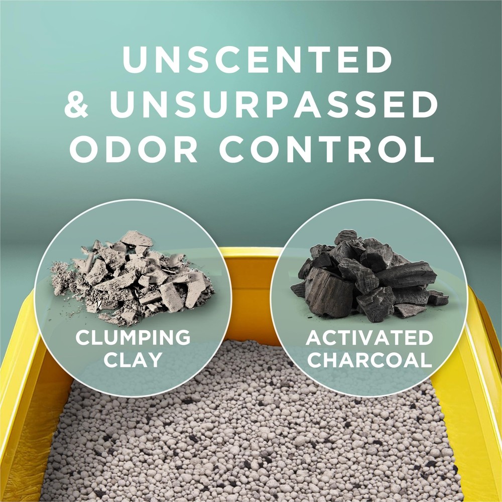 Clumping Cat Litter for Multiple Cats - Odor Control, Unscented - 16 lb