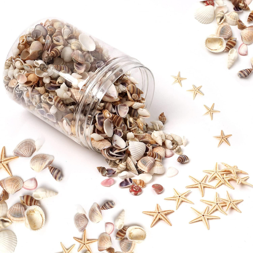 1200 Pieces Tiny Sea Shells Small Natural Starfish Mixed Ocean Beach Spiral Seas