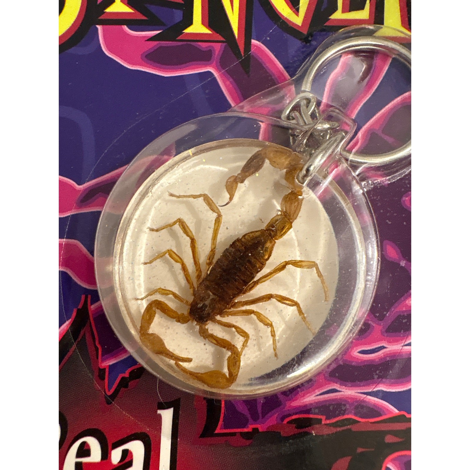 Stinger Real Scorpion keychain glows in the dark retro kidcore