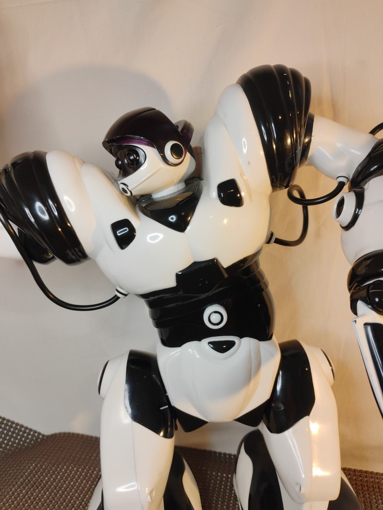 🔥 Rare Robosapien Humanoid 14" Robot No Remote 2004 Untested