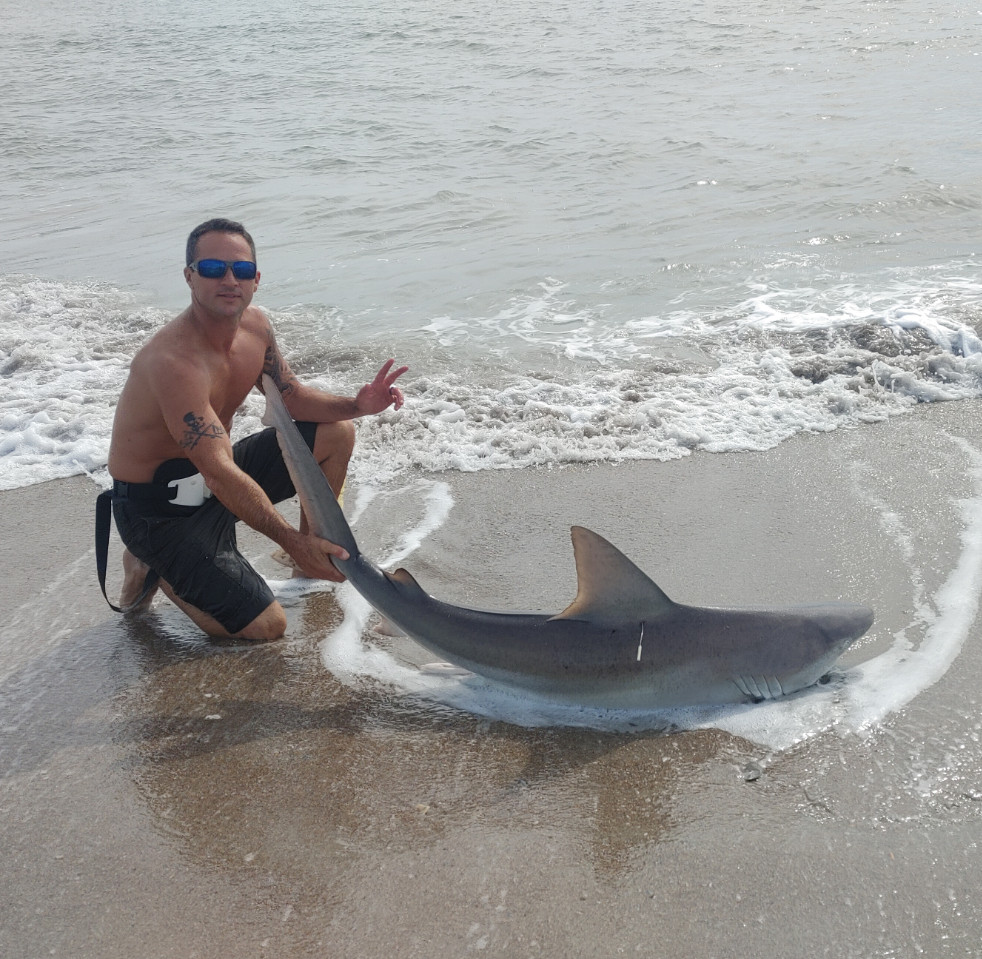 Shark Rig (The"Micah"Rig)