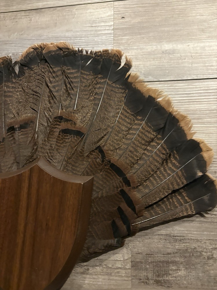 Turkey Tail/Beard Plaque Hardwood