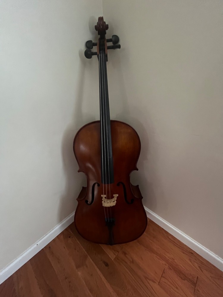 cello string instrument