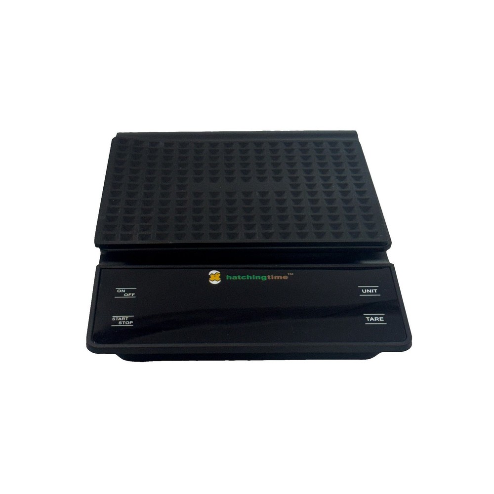 Digital Egg & Kitchen Scale - 6.6 lb Capacity