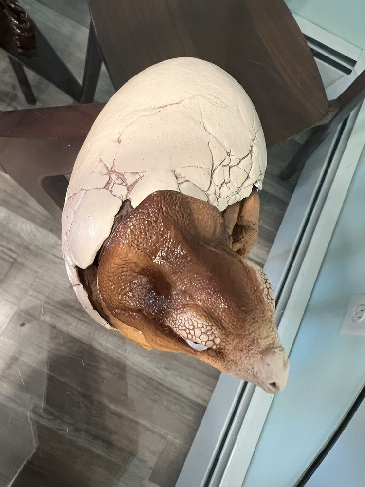 Windstone Editions Hatching Dinosaur Egg Figurine