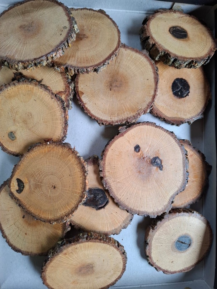 Wooden Coasters