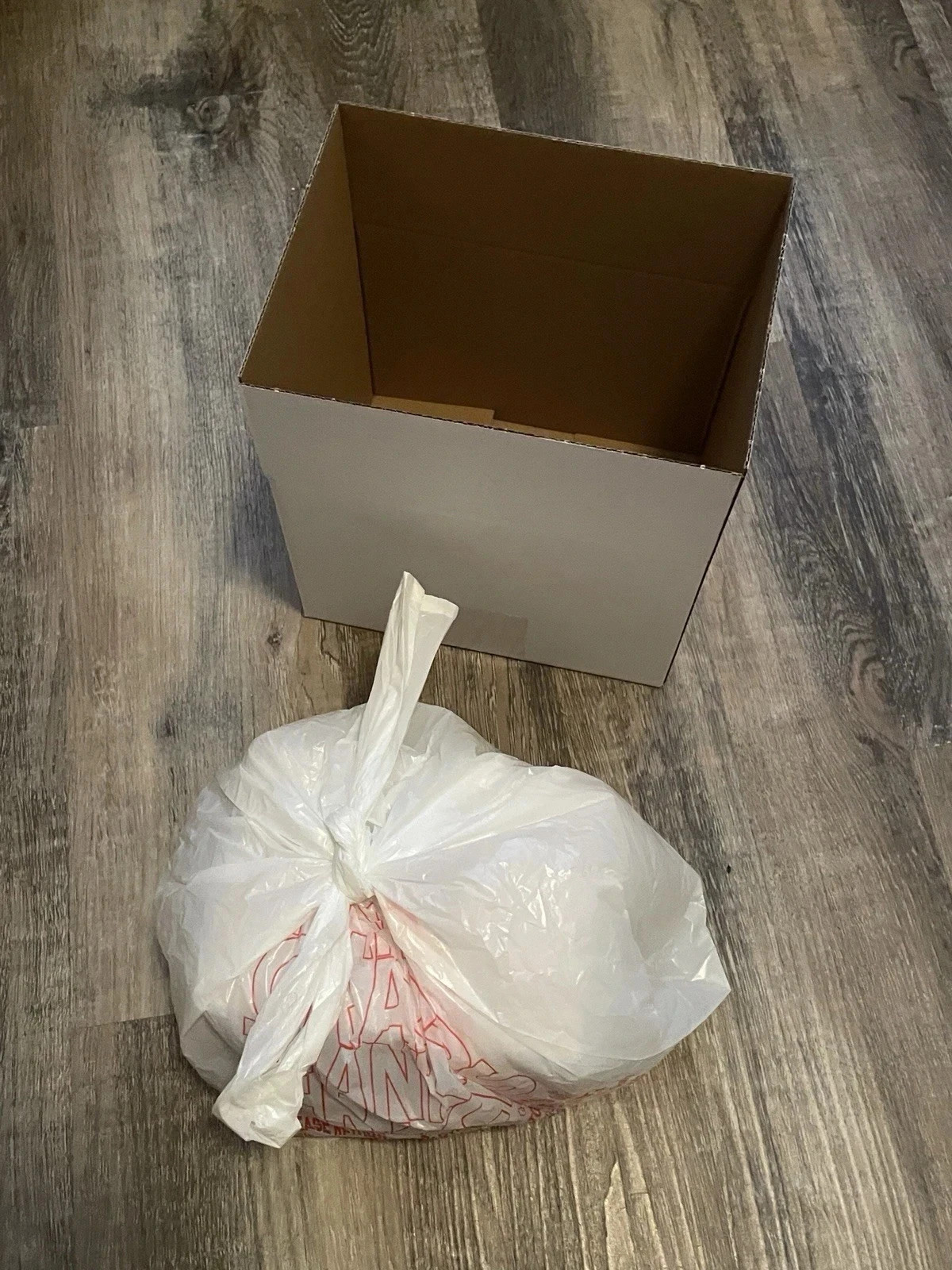 Disney Cherry Blossom Mickey Mouse Icon Sakura Starbucks Tumbler & Straw Presale