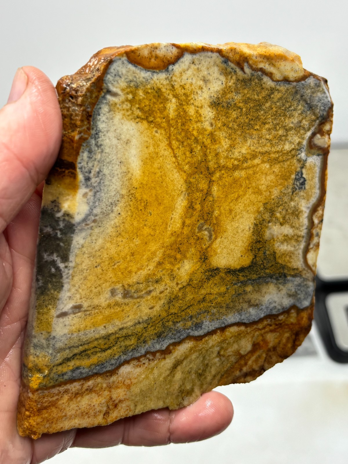 Disaster Peak Picture Jasper Slab Cabbing Lapidary Collecting Combo Ship Avail