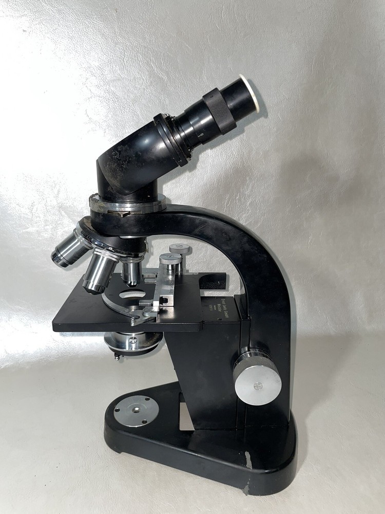 ernst leitz gmbh wetzlar germany 529778 microscope With Case