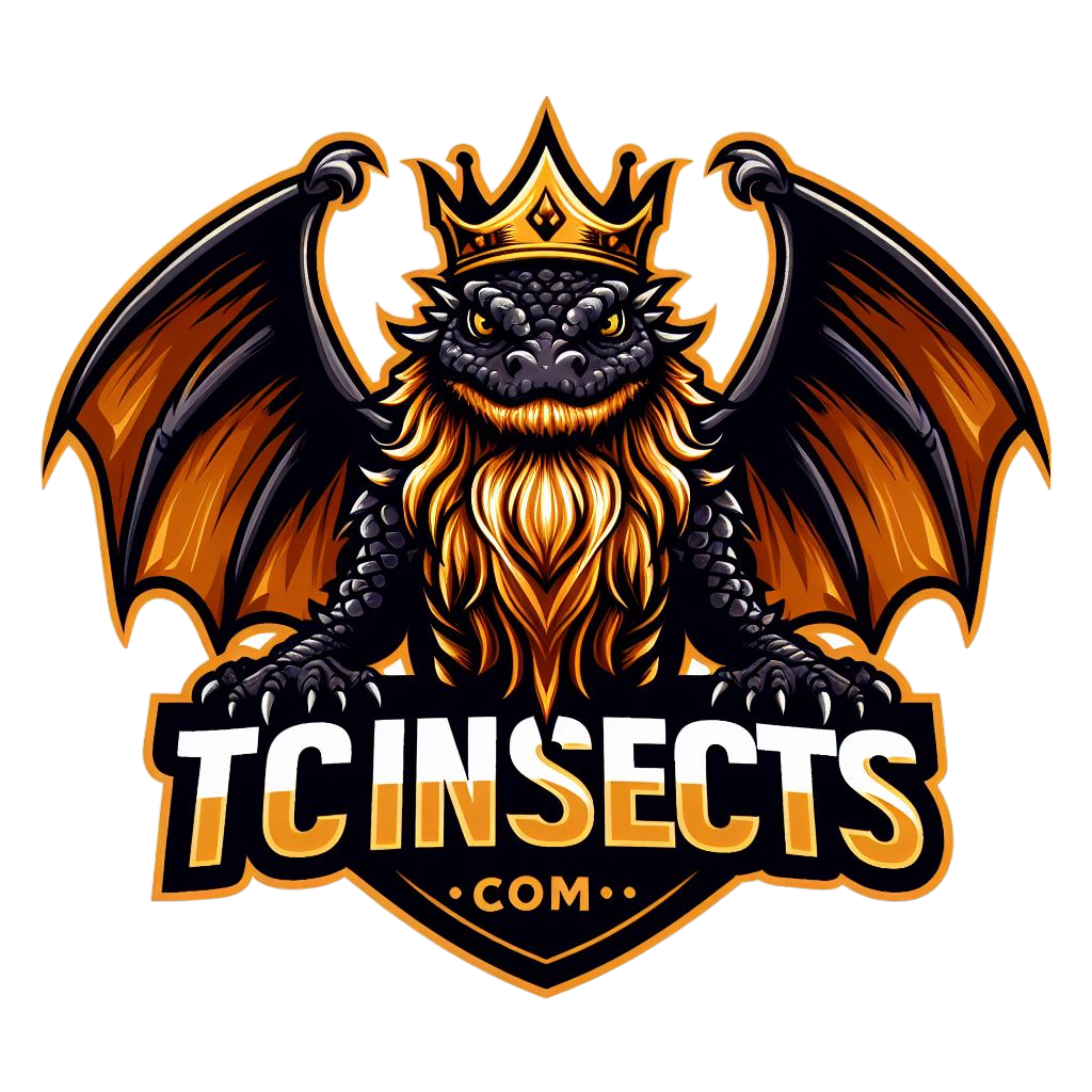 Springtails | Coco Temperate 8oz | Live Arrival & FREE SHIPPING NATIONWIDE!