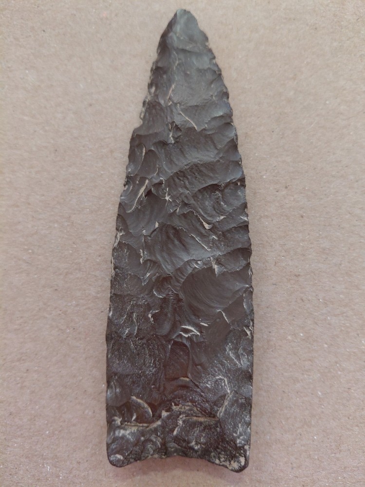 Nice Large Paleo Plainview Point Arrowhead (Modern)