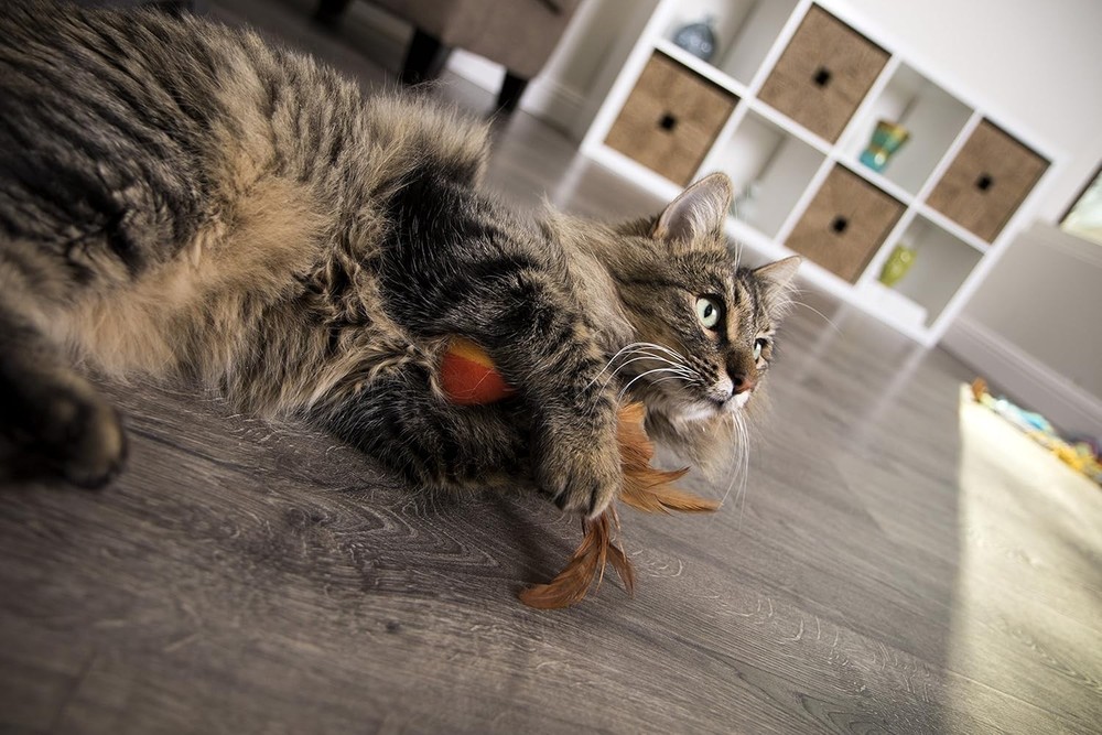 Interactive Plush Catnip Flutter Balls with Feathers - Ideal for Kittens