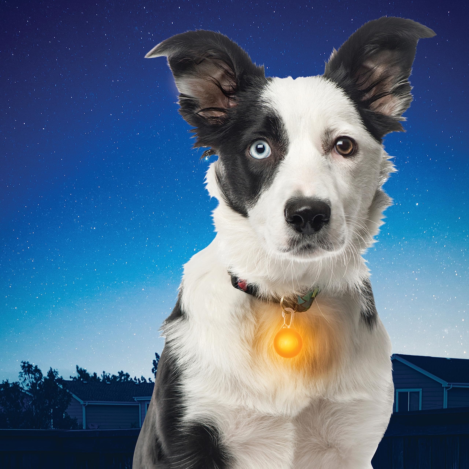 Nite Ize SLG19-06-02 SpotLit Clip-On LED Light with Carabiner, Weather