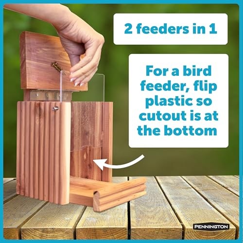 Pennington Cedar Squirrel Snacker Feeder, 2.75 LB Pounds Capacity,
