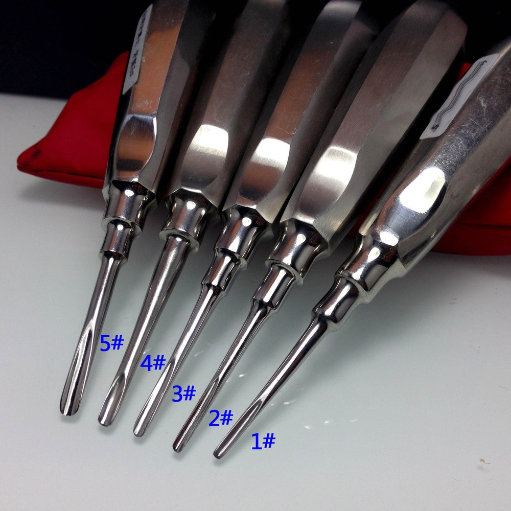 10 Pcs Dental Luxating Luxation Root Elevator Autoclavable Extraction Apical
