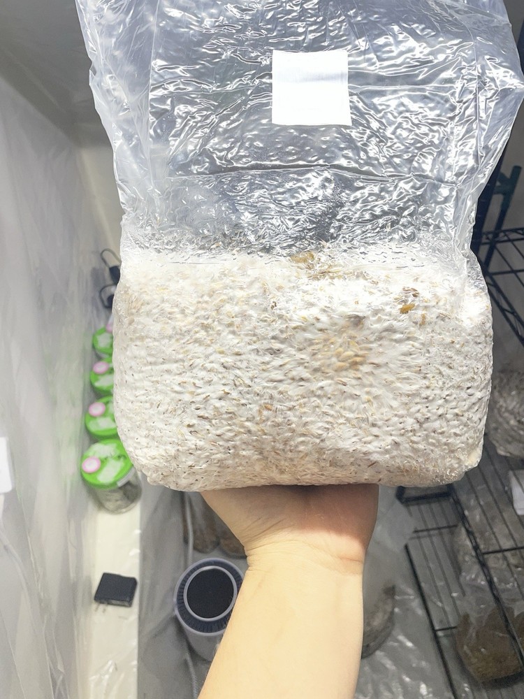 Mushroom Spawn Bag for Cultivation Mycelium