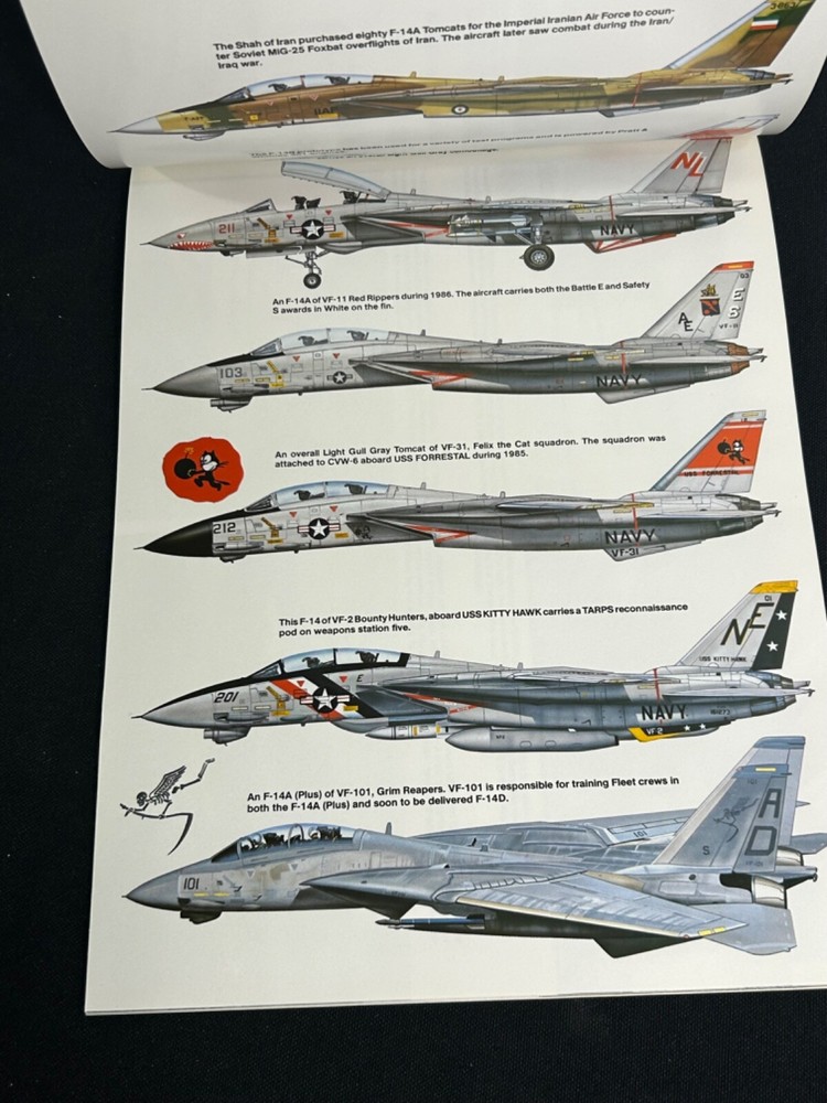 F-14 Tomcat In Action Book