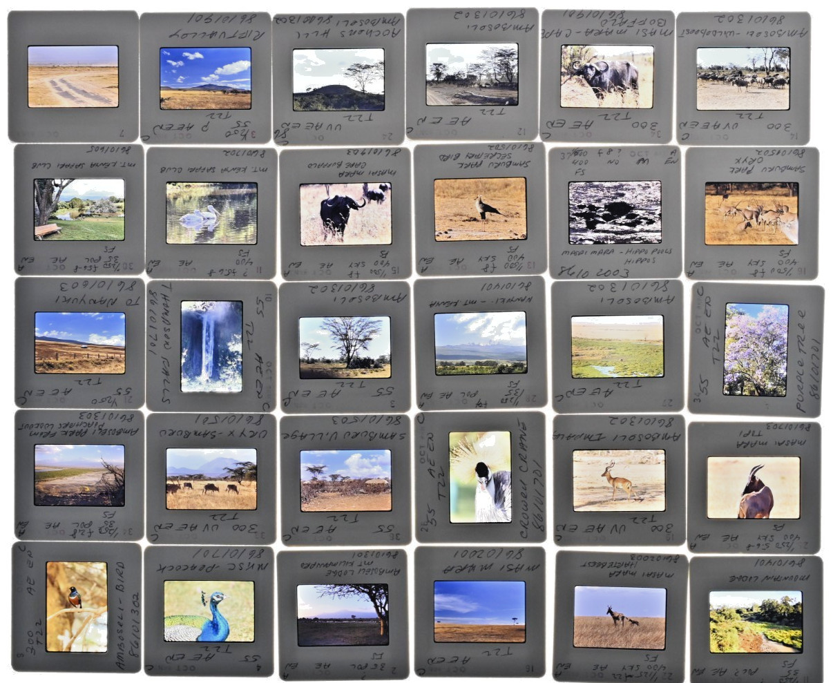 Vintage 1986 Kenya Safari Slides 120 Lot Wildlife Tribal Photo