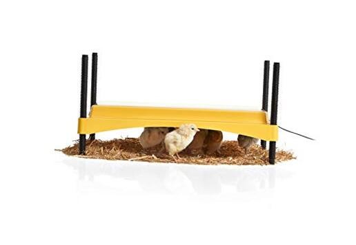 Products Ecoglow Safety 1200 Brooder for Chicks Or Ducklings, Yellow/Black