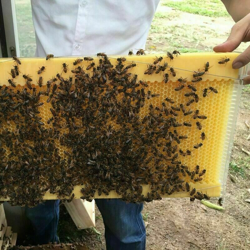 7 Auto Shedding Beekeeping Frames Comb Hive Frames For Auto Beehive House Boxes