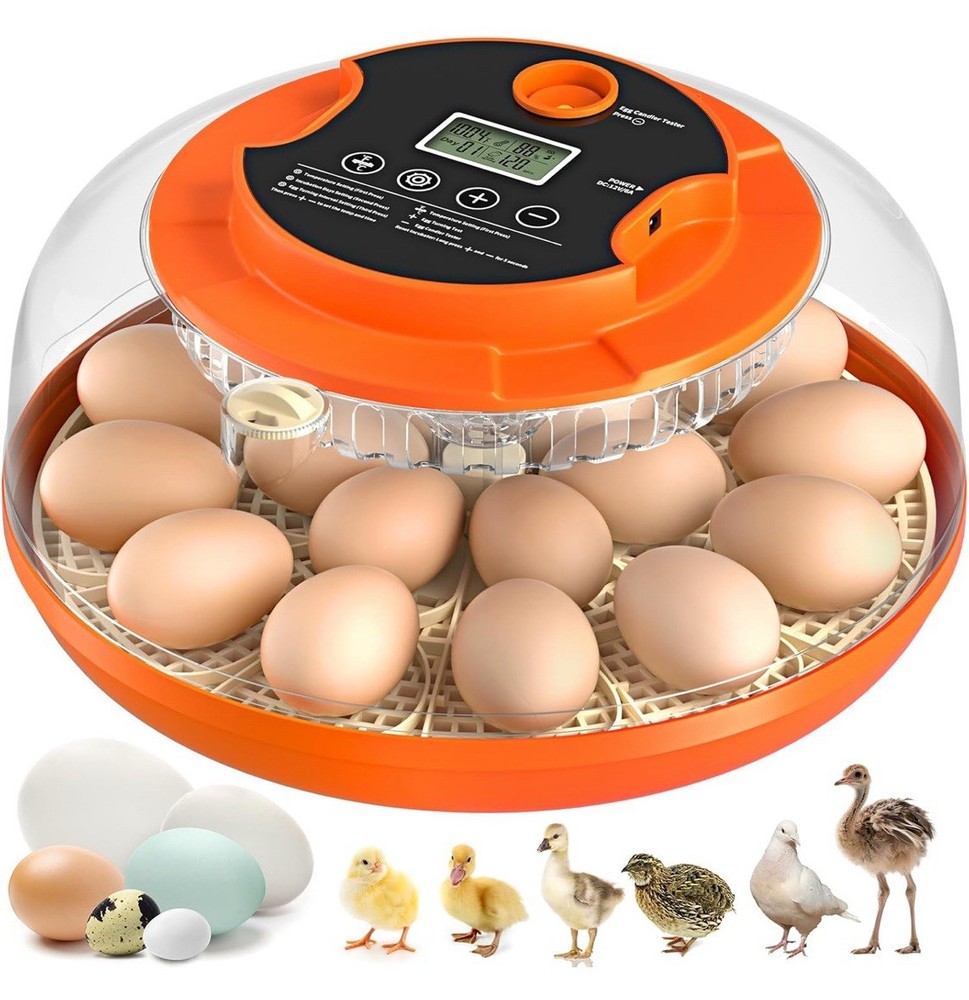 Incubator for Hatching 18 Eggs Chicken Duck Smart Temperature Humidity Control