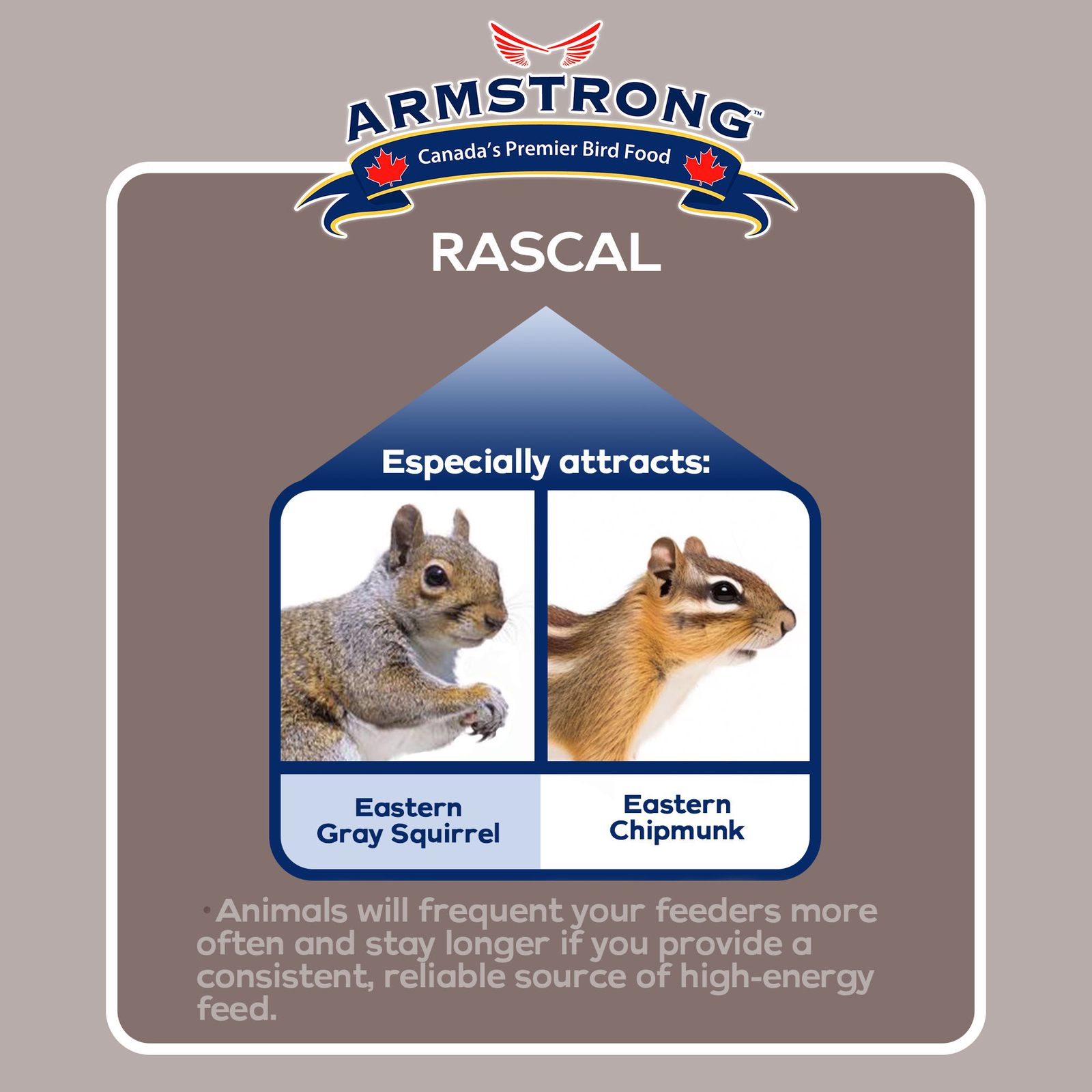 Armstrong Animal Food Royal Jubilee Rascal Mix For Squirrels and Chipmunks, 4lbs
