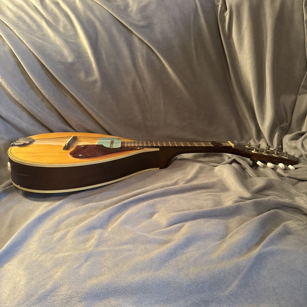 60’s70’s Norma Electric Mandolin