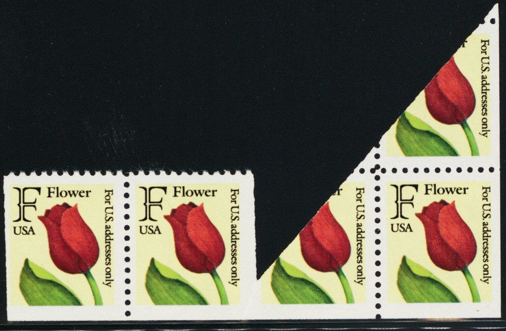 2519, MNH 29¢ Fold Over Error From Booklet Pane * Stuart Katz