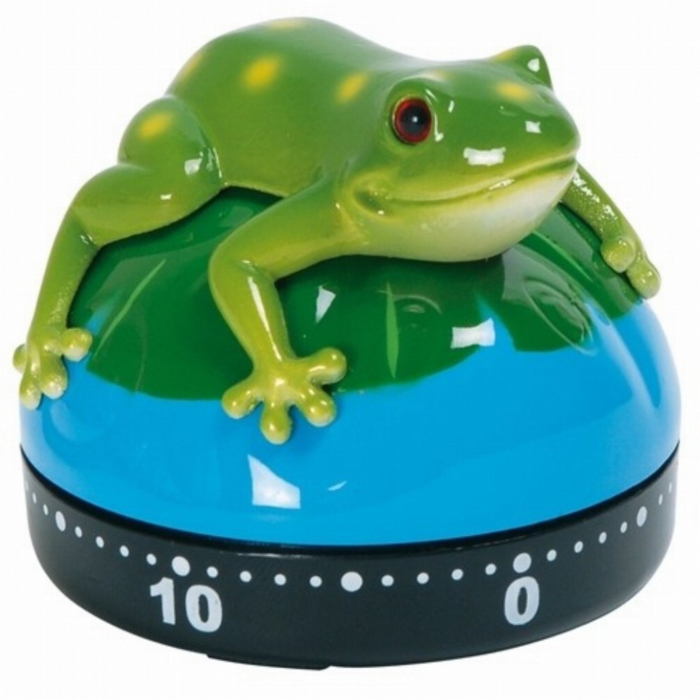 Frog Kithen Timer