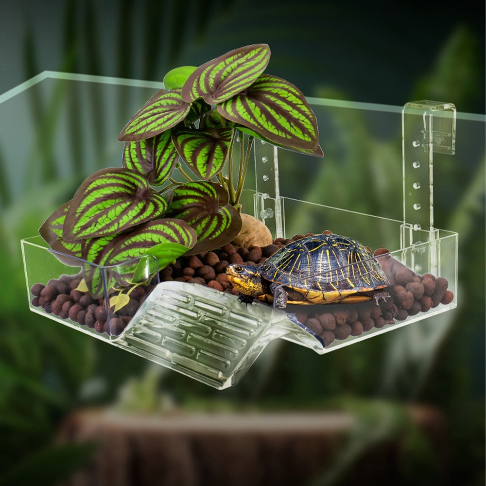 Fish Tank Platform Turtle Basking Dock Turtle Basking Area Reptile Platform