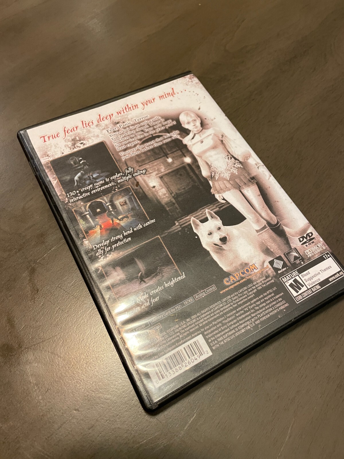Haunting Ground USA Playstation 2 PS2 Edition Replacement Case Only Cover