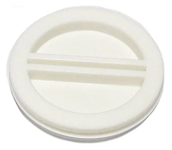 Pentair Threaded Winterizing Plug 2"