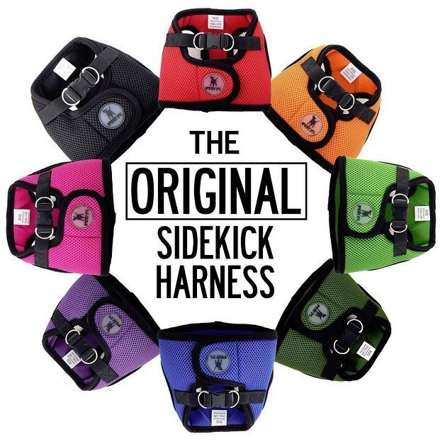 Worthy Dog Sidekick Harness Puppy Vest Miniature Tiny XS S M L XL 2XL 3XL