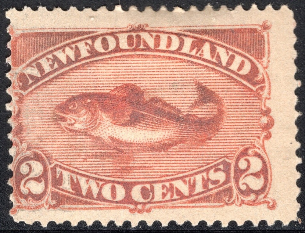 Newfoundland Stamp Scott #48, 2c, Codfish, Red Brown, MH, SCV$37.50
